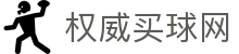 权威买球网世界杯专题 - 南非对捷克、瑞士对波黑赛程比分与直播资讯